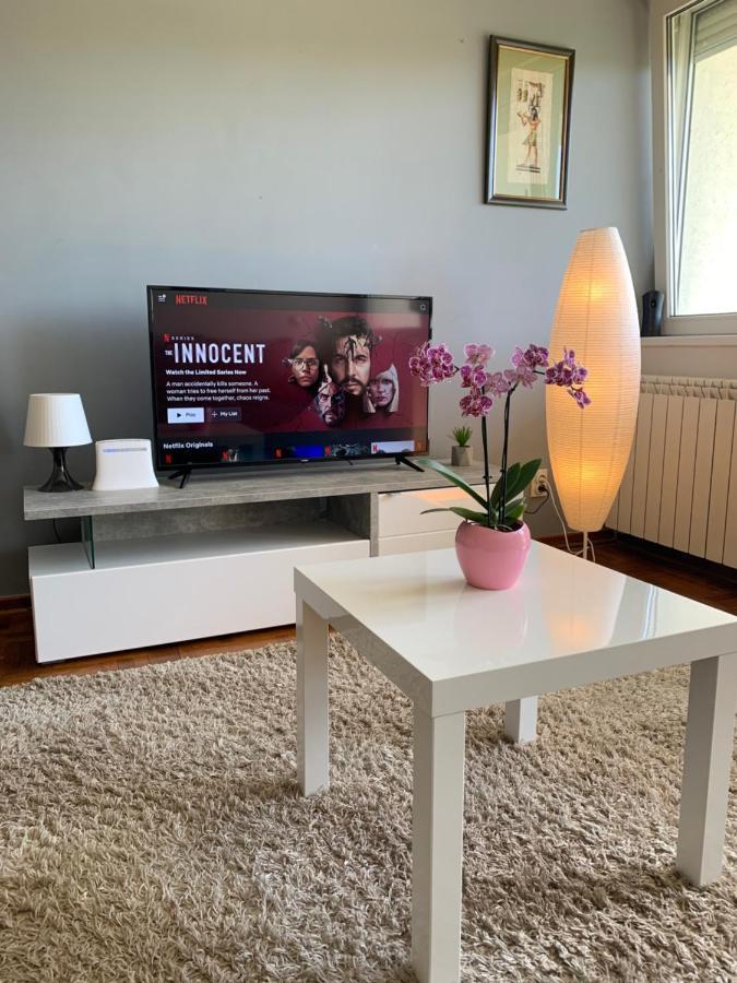 Sunkissed Apartment Beograd Bagian luar foto