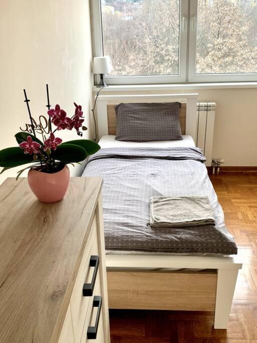 Sunkissed Apartment Beograd Bagian luar foto